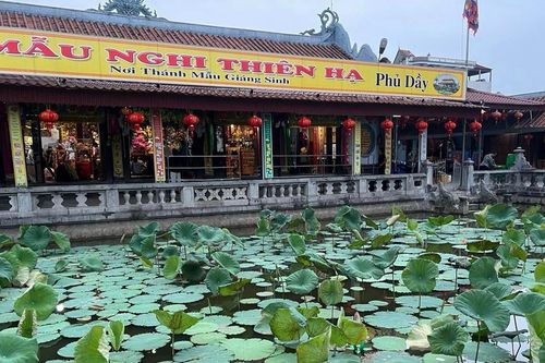 Chuyện ở miền đạo Mẫu