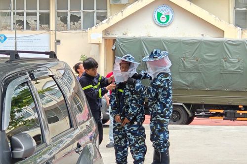 Gỡ thành công tổ ong ở trường Đại học TP.HCM
