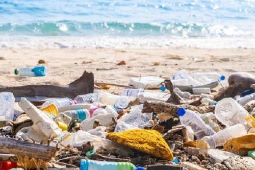 Tái chế nhựa tại Việt Nam