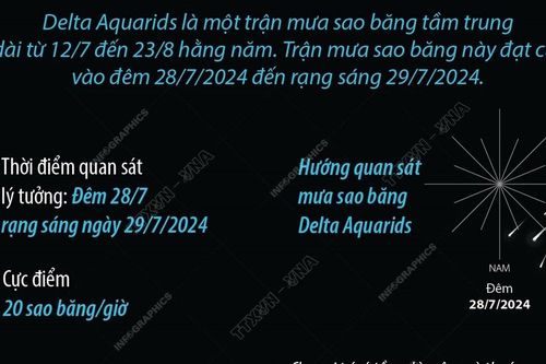 Những điều cần biết về trận mưa sao băng Delta Aquarids 2024