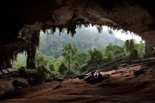Quần thể hang động Niah của Malaysia được UNESCO công nhận là di sản thế giới