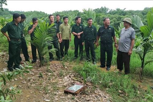 Cựu chiến binh nỗ lực phát triển kinh tế, chiến thắng đói nghèo