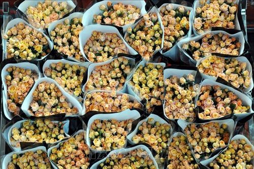 Đầu Nam - chợ hoa lớn nhất châu Á