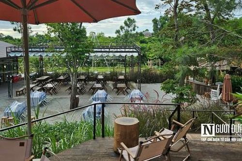 Xử phạt người phụ nữ tự ý chuyển đổi mục đích sử dụng đất