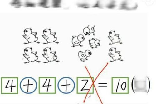 Bài toán tiểu học '4 + 4 + 2 = 10' bị chấm sai, giáo viên giải thích ra sao?
