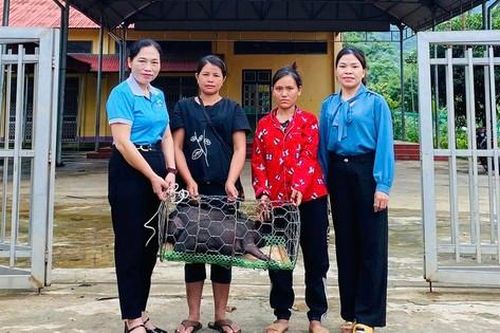 Hội LHPN thành phố Lào Cai đẩy mạnh thực hiện các nội dung Dự án 8
