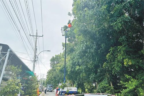 Đề phòng tai nạn điện xảy ra trong mùa mưa bão, ngập lụt