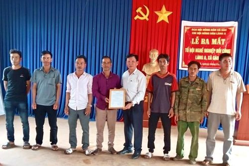 Lợi ích mang lại cho nông dân Gia Lai khi tham gia các chi, tổ hội nghề nghiệp
