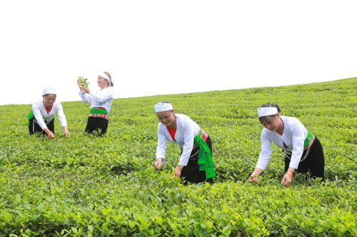 'Đất lạ hóa quê hương'