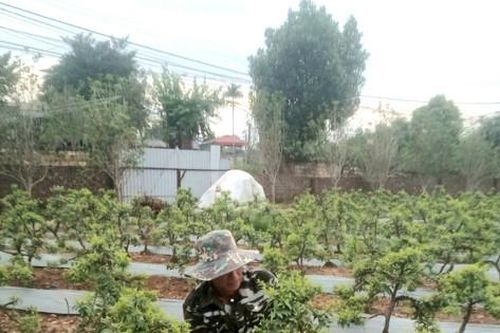 Huyện Ba Vì: Quyết tâm xóa hộ nghèo ở vùng núi