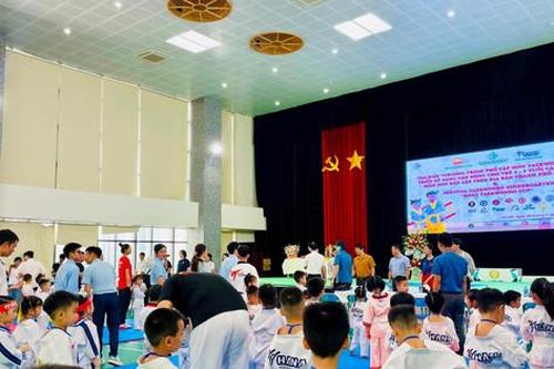 Festival 'Hana Taekwondo Cup' thu hút nhiều trẻ 4 - 5 tuổi tham gia