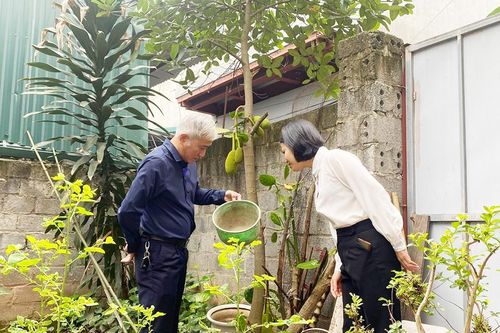 Hà Nội ghi nhận 125 ca mắc sốt xuất huyết với 10 ổ dịch