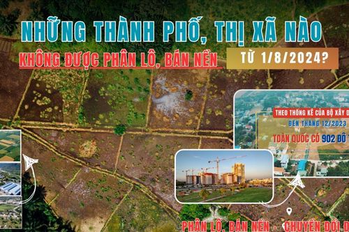 Những thành phố, thị xã nào không được phân lô, bán nền từ 1/8/2024?