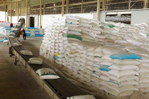 Tìm kiếm cơ hội mở rộng hợp tác với các địa phương Canada