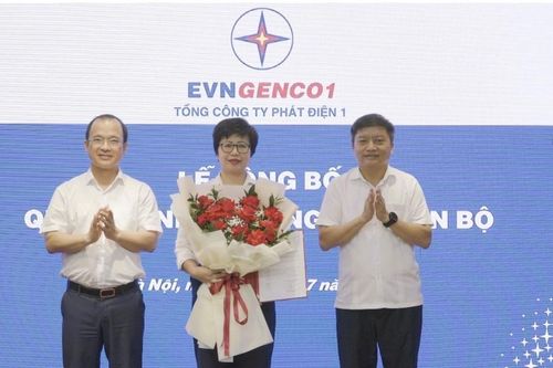 Tổng công ty Phát điện 1 công bố tân Phó Tổng giám đốc
