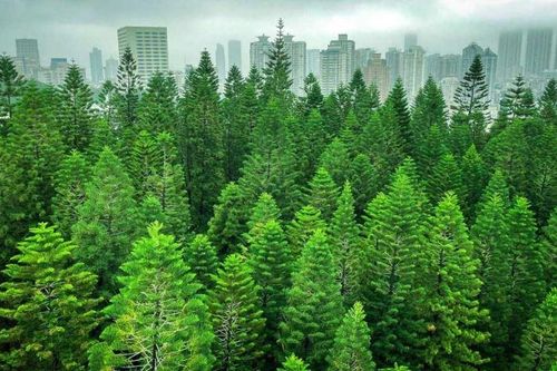 Trung Quốc và bài toán chuyển dịch năng lượng (Kỳ IV)