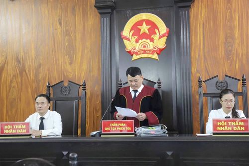 Người đàn ông bị phạt 171 triệu đồng, 4 năm tù vì phá rừng