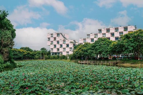 Khuôn viên xanh mát bên trong 5 cơ sở Đại học FPT