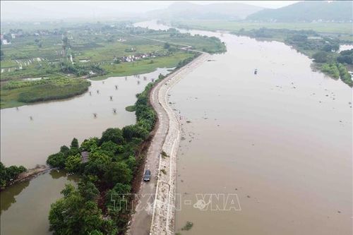 Đảm bảo an toàn hệ thống đê điều ứng phó với mưa lũ