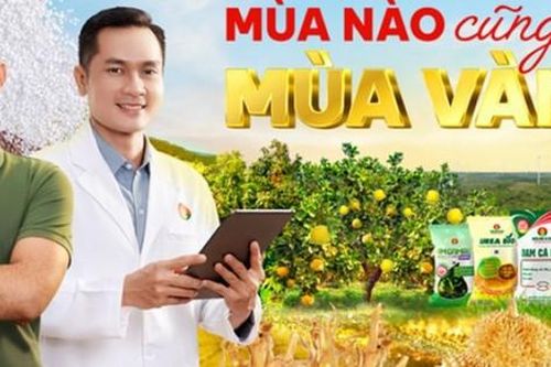 Với Phân Bón Cà Mau: Mùa nào cũng là mùa vàng