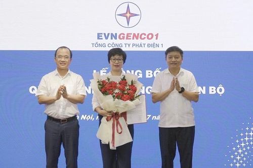 Tổng công ty Phát điện 1 bổ nhiệm phó tổng giám đốc