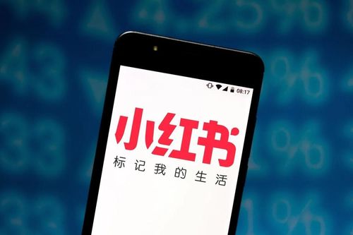Xiaohongshu tìm chỗ đứng trên thị trường thương mại điện tử đông đúc của Trung Quốc như thế nào?