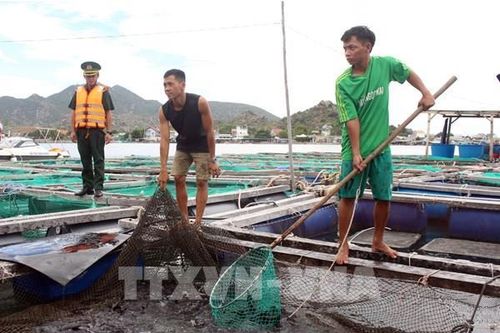 Ngành nông nghiệp cho ý kiến về chủ trương nuôi cá tại hồ chứa nước Ngàn Trươi