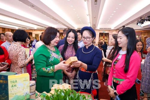 Định hướng tương lai của hợp tác xã do phụ nữ làm chủ