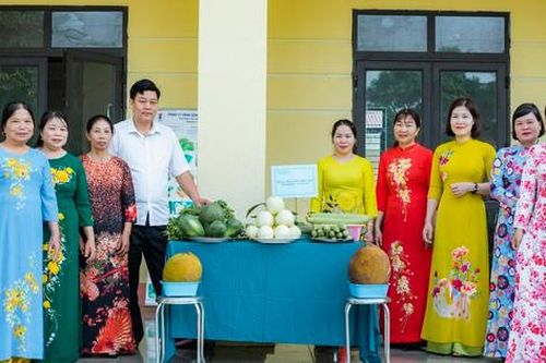 Phú Thọ: Ra mắt tổ hợp tác trồng rau an toàn