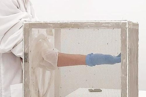 Thành tựu mới trong 'cuộc chiến' phòng, chống sốt xuất huyết
