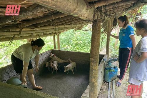 Hỗ trợ mô hình sinh kế cho phụ nữ biên cương từ tin nhắn 1400