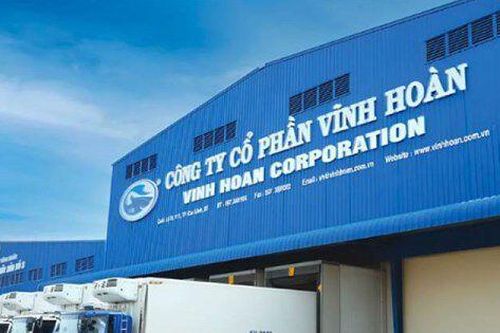 Kiên trì giữ 3 mã BĐS trong danh mục đầu tư chứng khoán, Vĩnh Hoàn phải trích lập dự phòng 31 tỷ