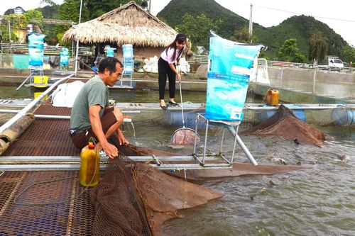 Khai thác tiềm năng phát triển nuôi trồng thủy sản