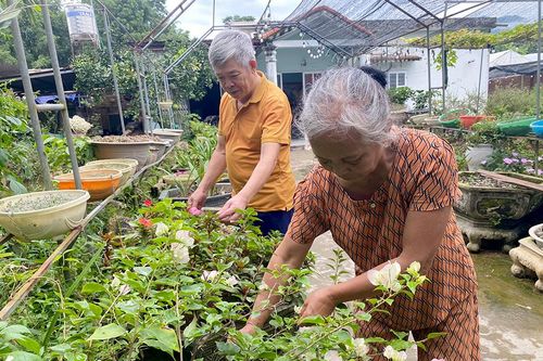 Nỗ lực xây dựng đô thị văn minh