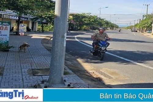 Hồi âm bài: '9 vụ tai nạn giao thông trong 7 tháng do đâm vào một cột đèn chiếu sáng': Sở Giao thông vận tải đề xuất bổ sung cụm gồ giảm tốc, biển báo, dán cảnh báo bằng phản quang trước 5/8/2024