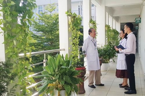Chăm sóc không gian xanh ở bệnh viện