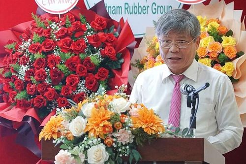 Cao su Việt Nam (GVR) ước lãi hơn 1.100 tỷ đồng trong quý 2, sẽ đẩy mạnh loạt dự án KCN