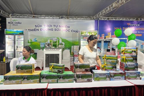 Hội chợ 'Ngày hội khuyến mại tháng 7' tại Times City: Cơ hội mua sắm không thể bỏ lỡ