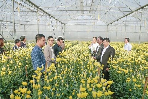 Thanh Hóa định hướng nghiên cứu khoa học công nghệ cụ thể cho từng lĩnh vực