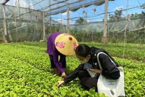 Mạnh dạn đầu tư lớn cho sản xuất rau an toàn, HTX Tiền Tài an tâm thu tiền dài lâu