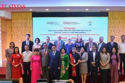 Kinh tế hợp tác xã tỏa sáng nhờ nữ lãnh đạo