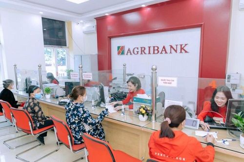 Chuyển đổi số đang chuyển động cả chất và lượng