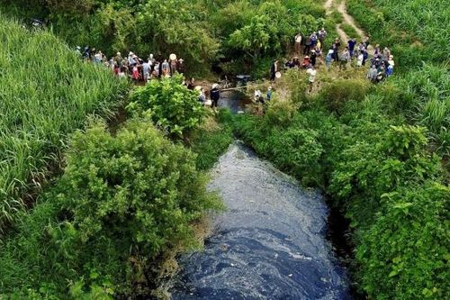 Phía sau những trang trại chăn nuôi lợn công nghệ cao ở Thanh Hóa
