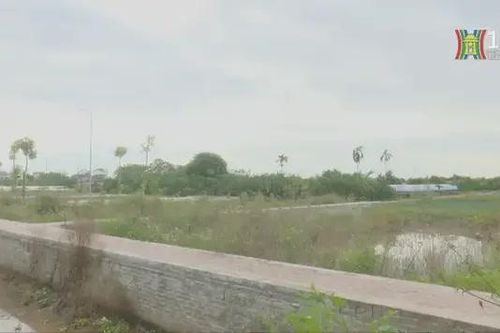 Đất đấu giá Đan Phượng lô cao nhất gần 100 triệu/m2
