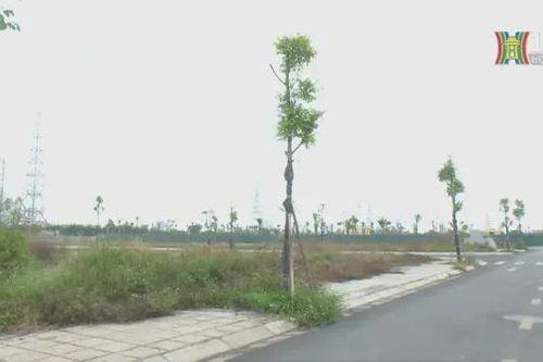 Nhiều người bán tháo đất nền vùng ven Hà Nội