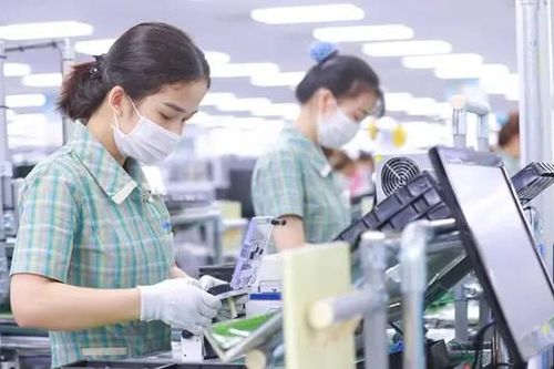 Nhiều doanh nghiệp báo lợi nhuận giảm