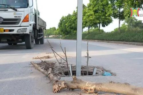 Cống mất nắp 'bẫy' người đi đường ở đường Đại Thanh