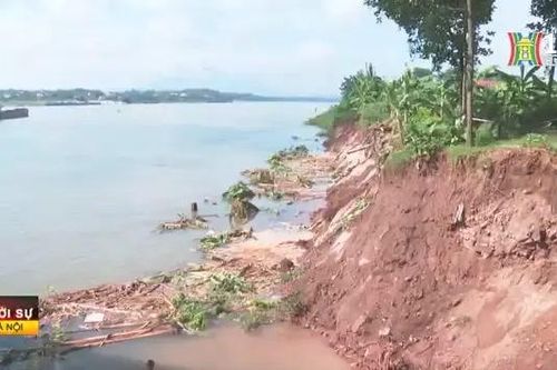 Rà soát hệ thống đê điều để ứng phó với mưa lũ