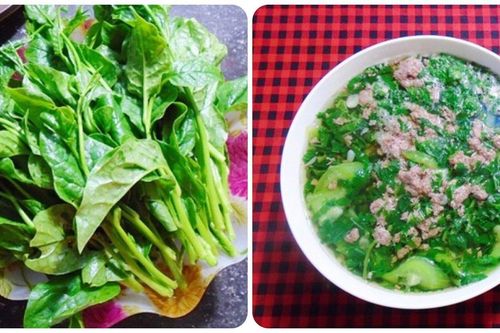 Những người nên hạn chế ăn rau mồng tơi