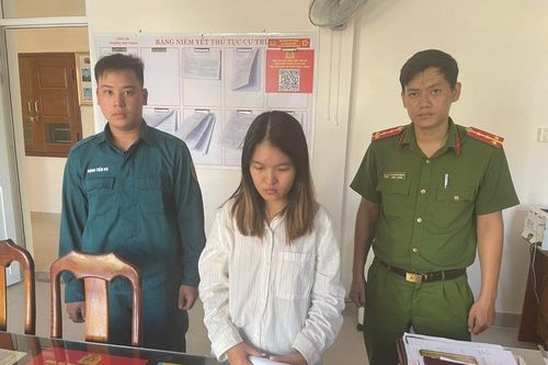 Bắt 'nữ quái' tổ chức cho người nước ngoài ở lại Việt Nam trái phép